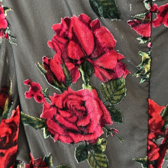 Rachel Parcell Burnout Velvet Dress size 4. - Picture 12 of 13